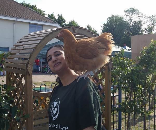 guinea pigs, chickens, and rabbits raising money to feed children in the Nairobi slums in Isleworth