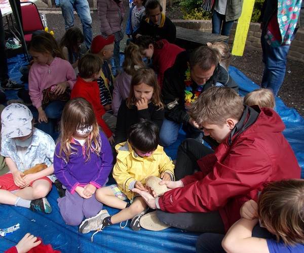 a petting zoo where children can meet rabbits, chickens and guinea pigs at Orleans school in Twickenham